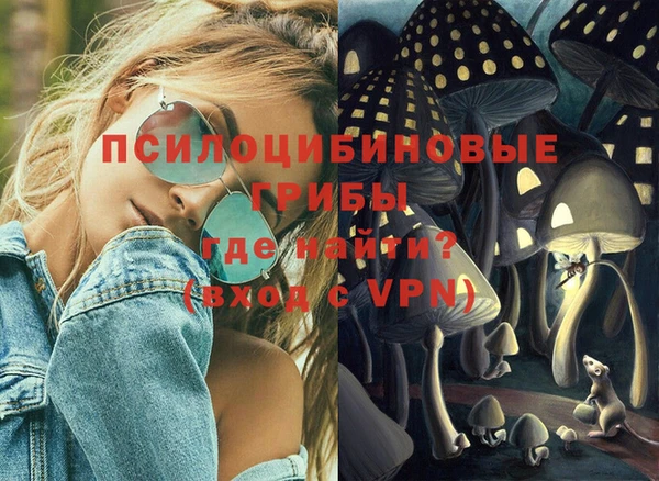 spice Арсеньев
