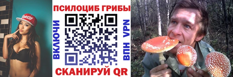 Галлюциногенные грибы Psilocybine cubensis mega как войти Ядрин