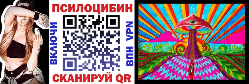 Псилоцибиновые грибы Psilocybe Ядрин