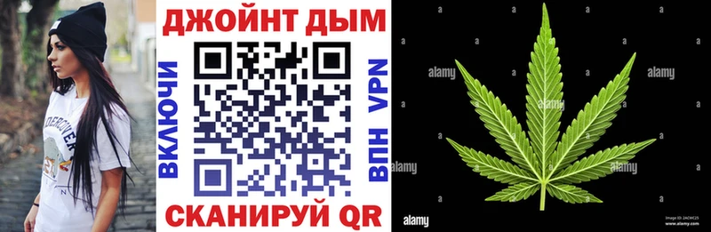 цена   Ядрин  Конопля гибрид 